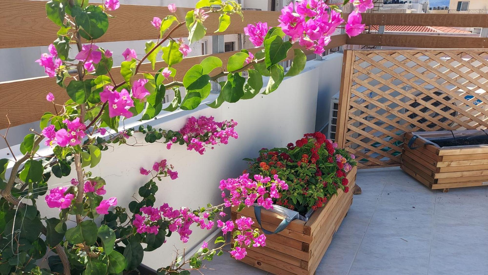 The Blue Apartment In The Heart Of Heraklion Exterior photo